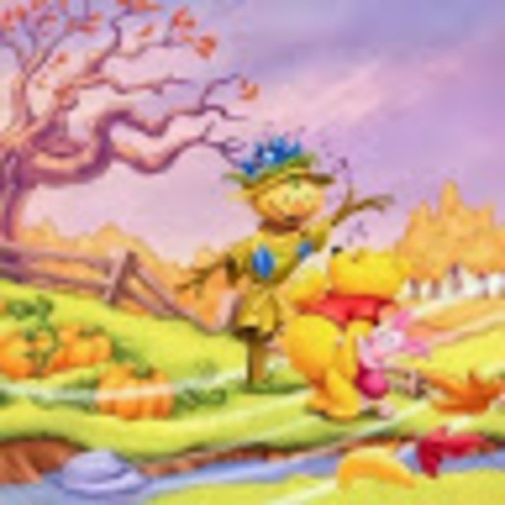 Meet your Posher, Anamarie